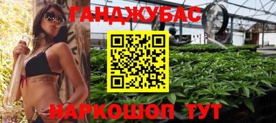 крисы Будённовск