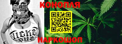 крисы Будённовск