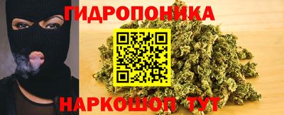 крисы Будённовск