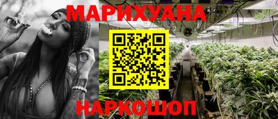крисы Будённовск