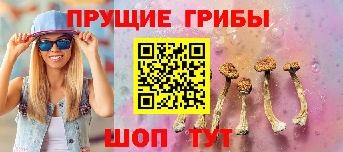Галлюциногенные грибы мицелий Серов