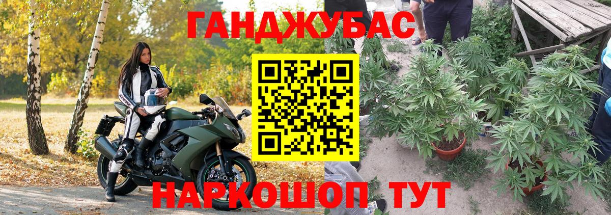 Шишки марихуана Amnesia Серов
